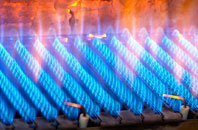 Raydon gas fired boilers